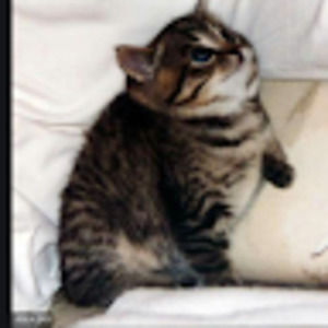 Meet your Posher, Dillyn